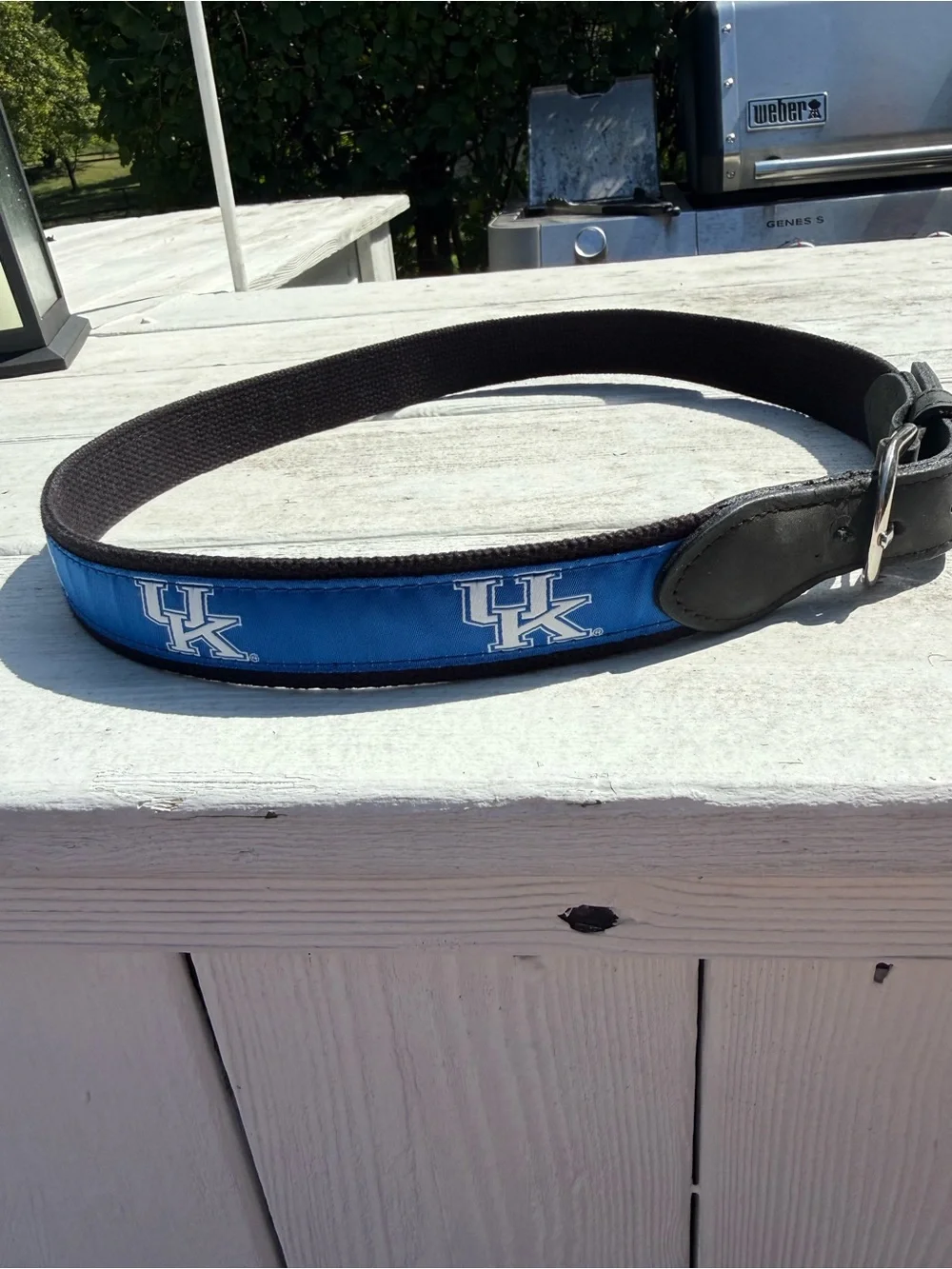 University of Kentucky Wildcat UK logo ribbon Canvas Belt with leather 34